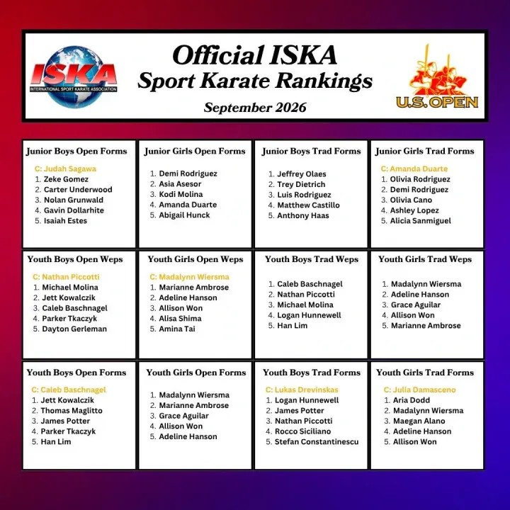 Official ISKA Sport Karate World Champions gallery image 6
